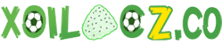 mái layer